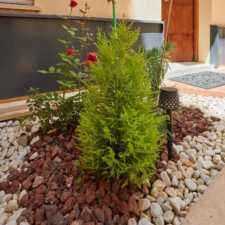 Obispo Centro Apartman *