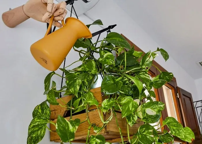 Obispo Centro Διαμέρισμα *